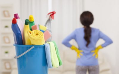 A stratagem of dishonesty and deceit justifies dismissal